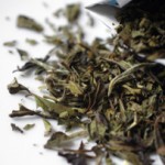 clotilde tea
