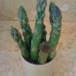 asparagus by Patricia Wells