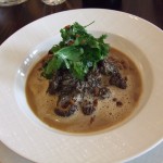Morel mushrooms by John Talbott
