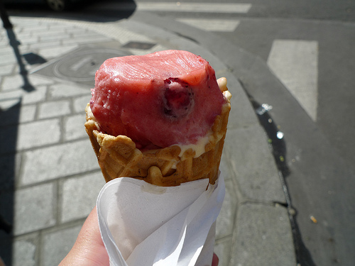 Berthillon Ice Cream Photo Barbra Austin