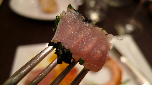 Tuna in fennel ash at Spring Restaurant by Meg Zimbeck