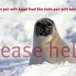 Baby seal photo by orphum via Flickr, modified by PbM