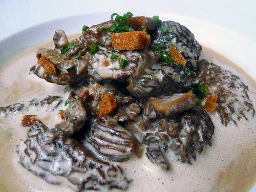 morilles françaises à la crème at La Regalade Saint-Honore by Bruno Verjus of Food Intelligenc3e