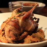 Partridge at Philou, photo by Meg ZImbeck