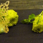 Amuse bouche at Agapé Substance restaurant in Paris