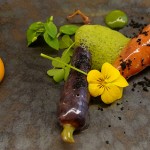 Carrots at Agapé Substance