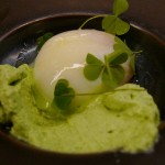 Egg at Agapé Substance