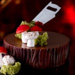 Gateau-Noel-a-la-Compagne-de-Pierre-Herme
