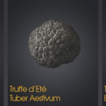 Three truffles from la Maison de la Truffe