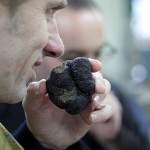Truffle sniffing - photo with permission from David Lebovitz