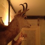 Bathroom attendants at Bones