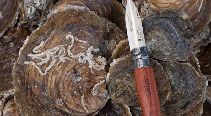L'Huitrade oyster restaurant in Paris from Guy Savoy