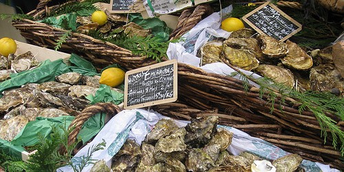 oysters raw oysters in Paris