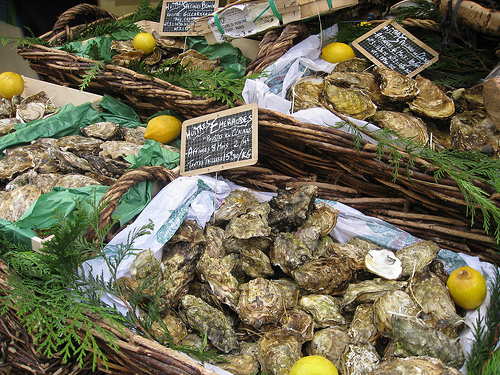 raw oysters in Paris