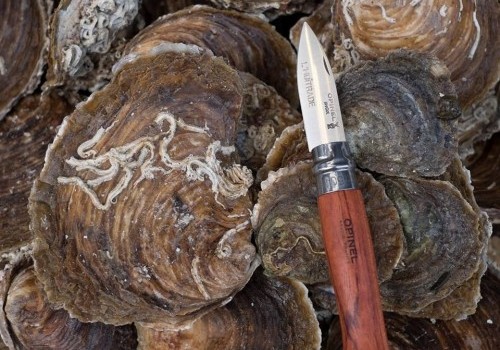 Huitrade L'Huitrade oyster restaurant in Paris from Guy Savoy