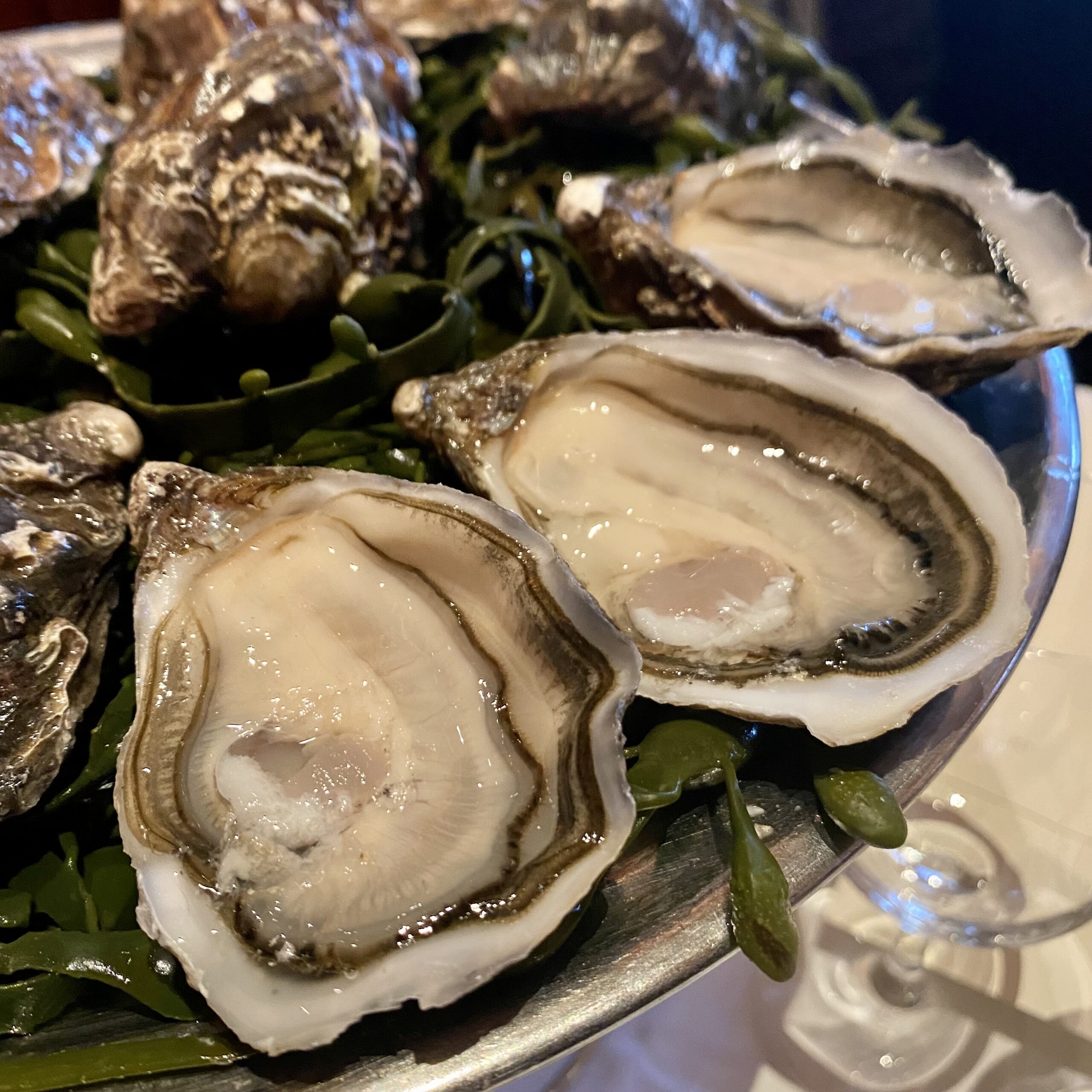 Le Dôme restaurant in Paris oysters | PARIS BY MOUTH
