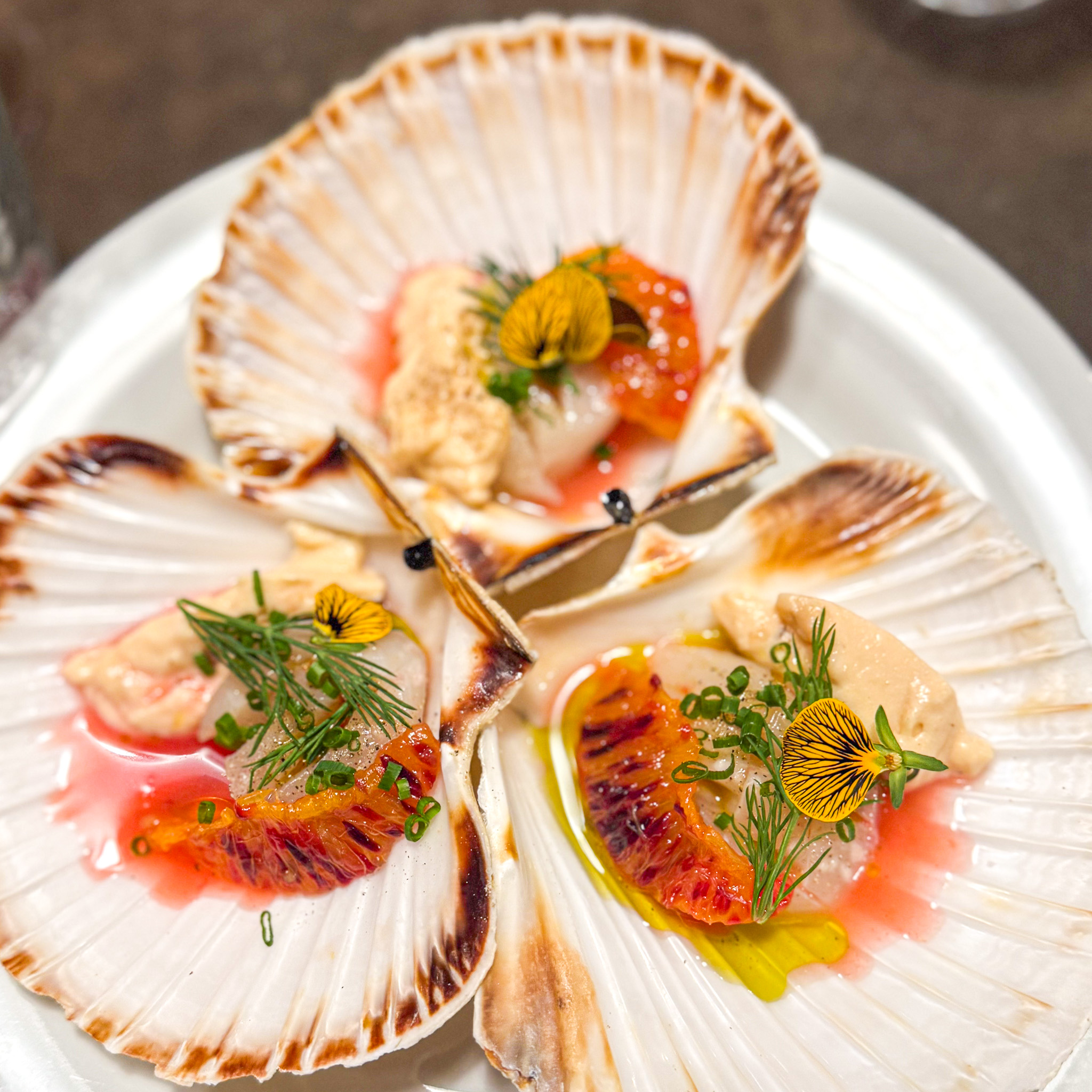 Raw scallops with blood orange and tarama in the shell, Quedubon, 19th arrondissement, Paris