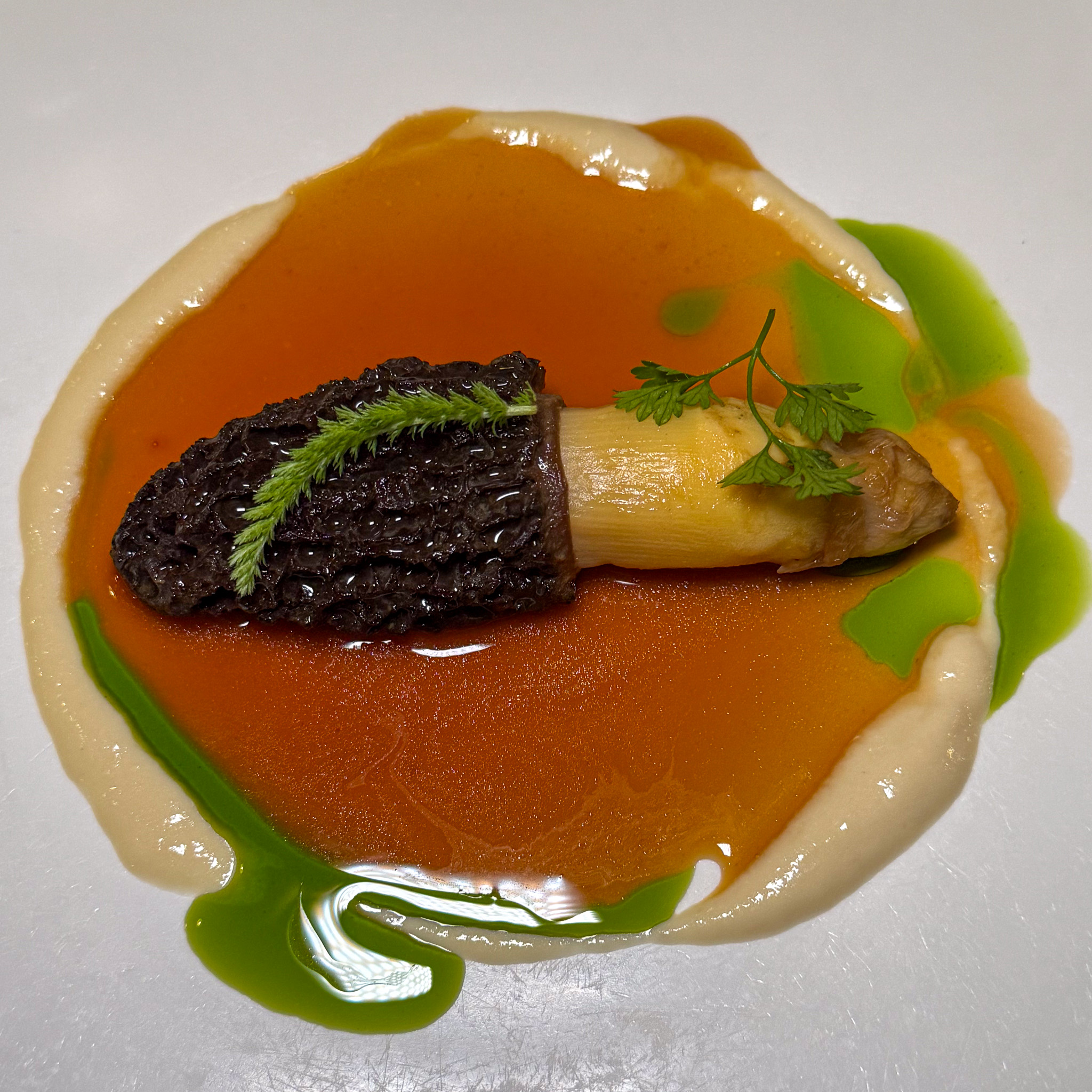 A whole dark stuffed morel beside a white asparagus spear, over amber jus and white-asparagus purée