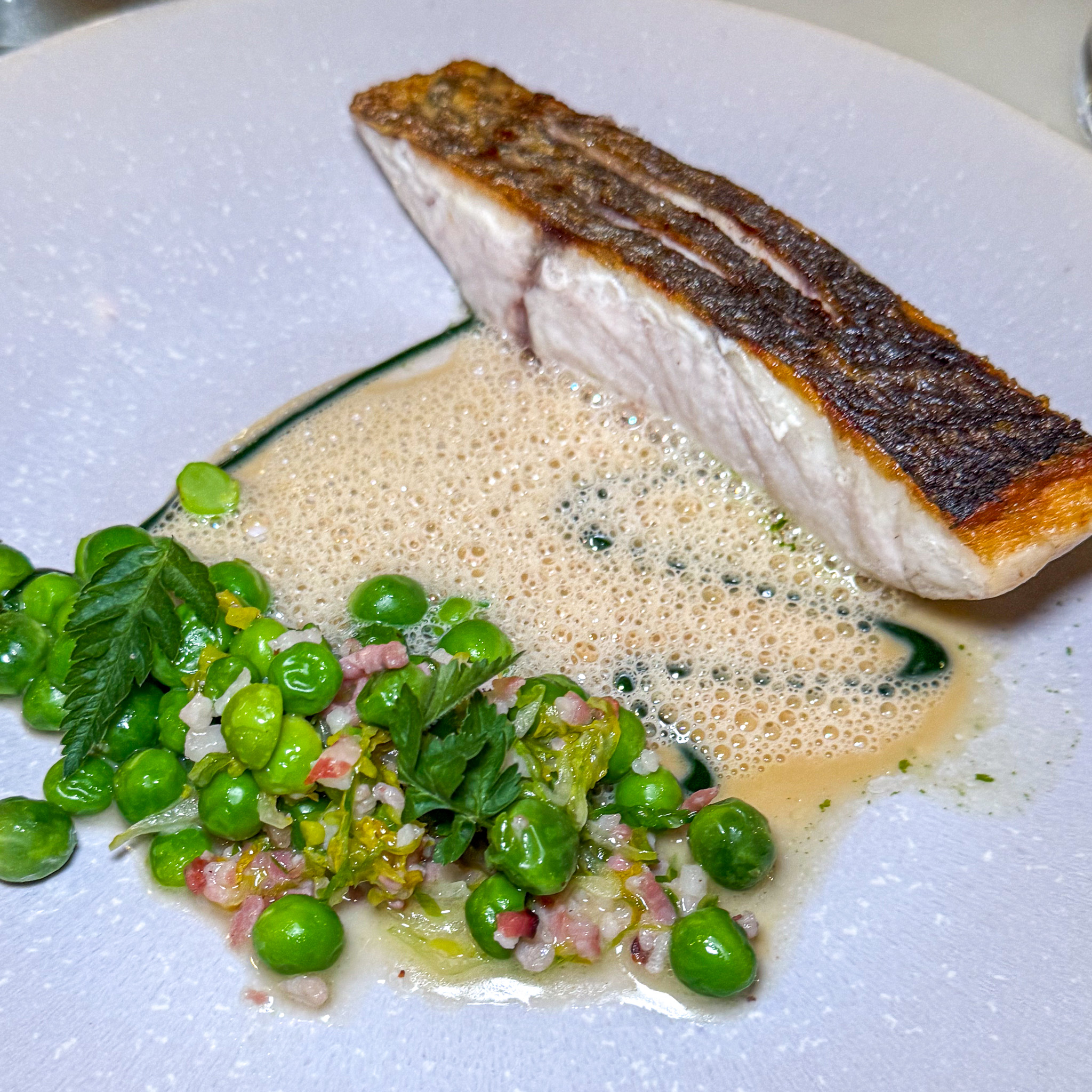Crisp-skinned fillet of maigre over peas à la française with lardons in a frothy pea-pod sauce