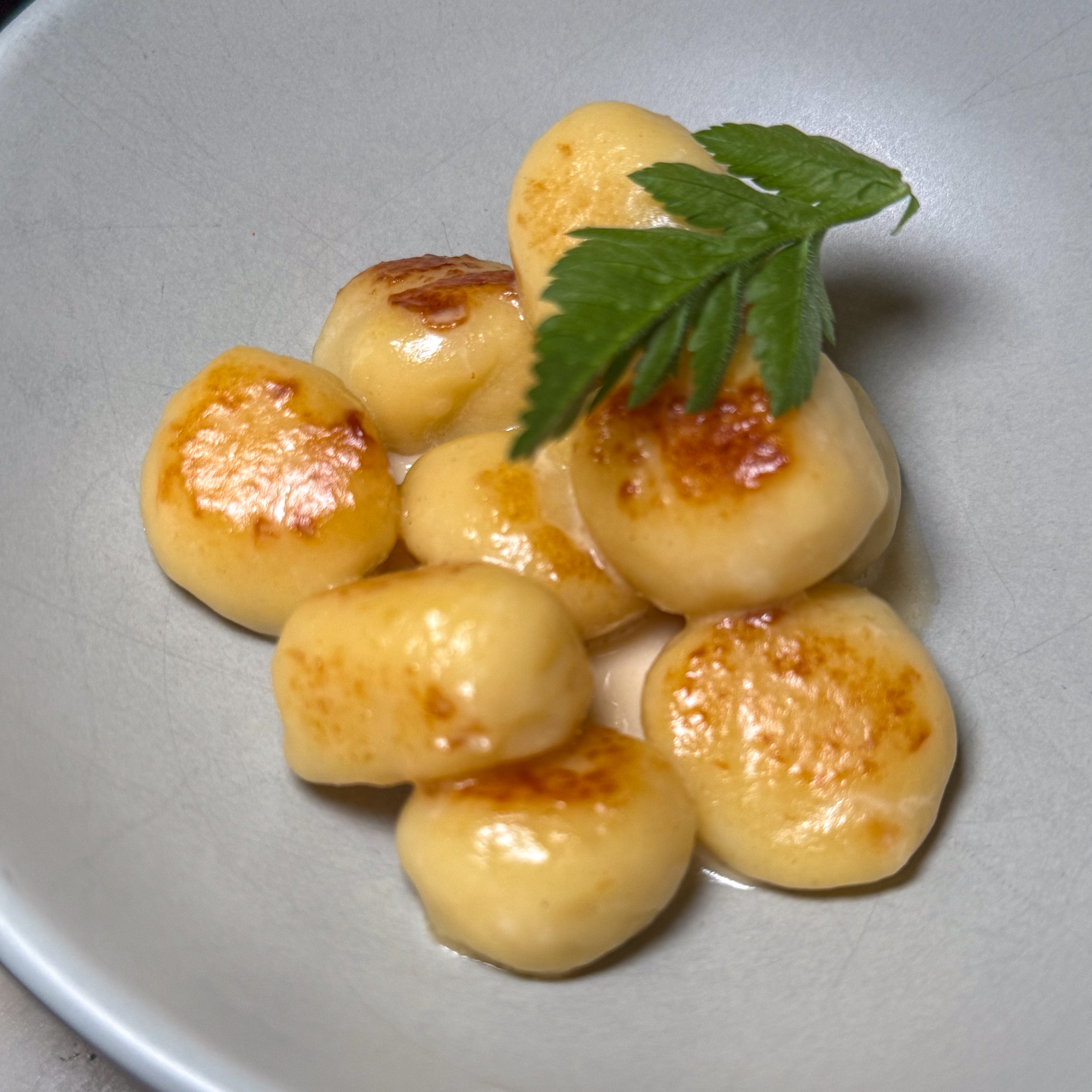 Small browned gnocchi in a pale bacon cream, topped with a chervil sprig