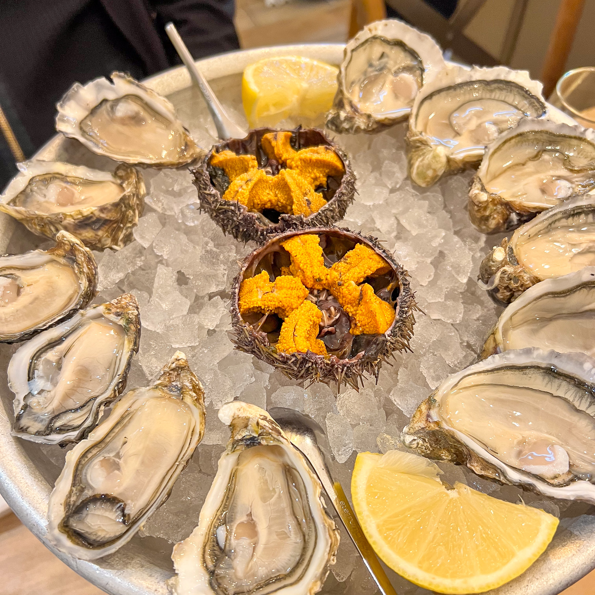 Oysters and sea urchin at Poget et de Witte on the Ile Saint-Louis in Paris