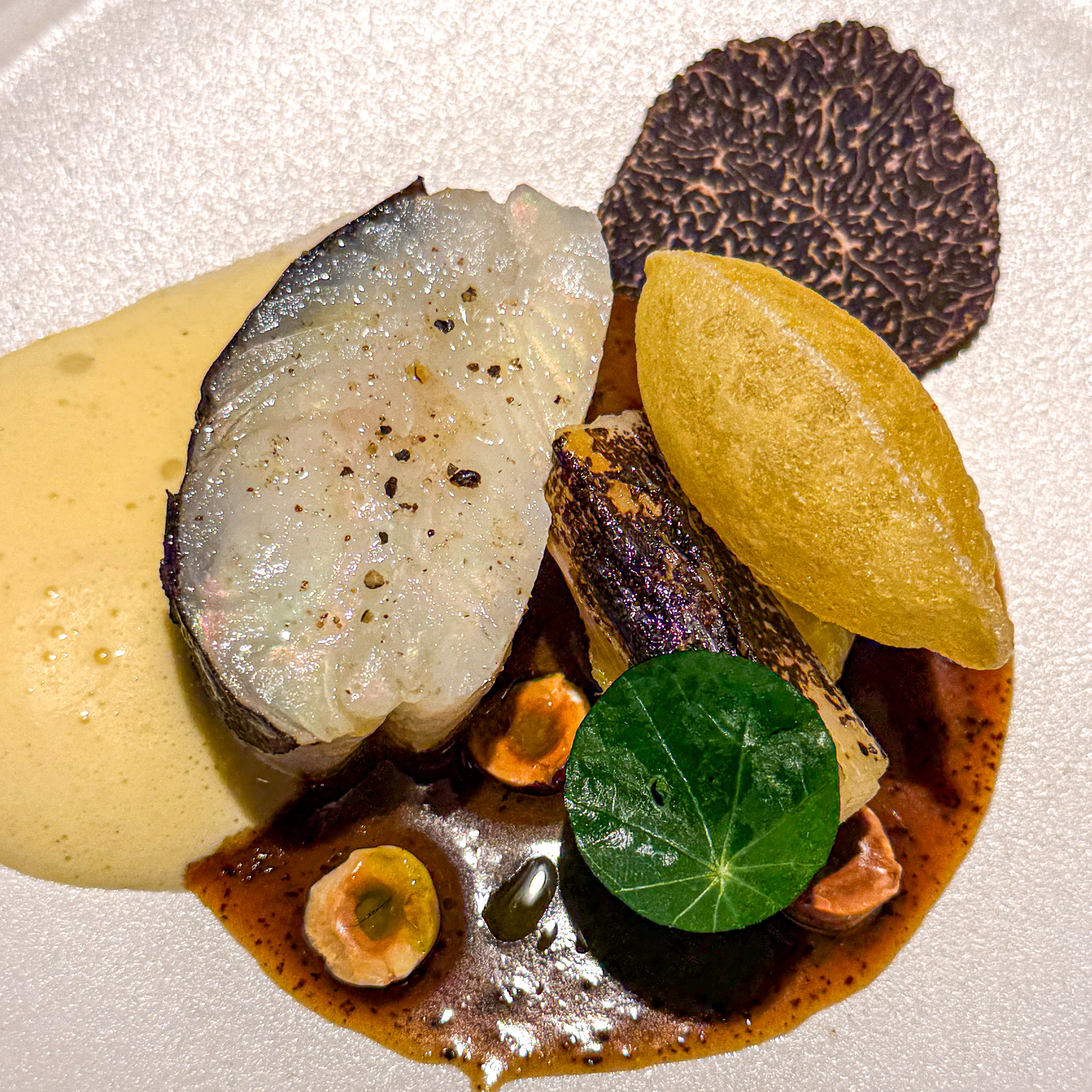 Truffle-scaled brill with Melanosporum and hazelnut sabayon at Virtus, 12th arrondissement, Paris