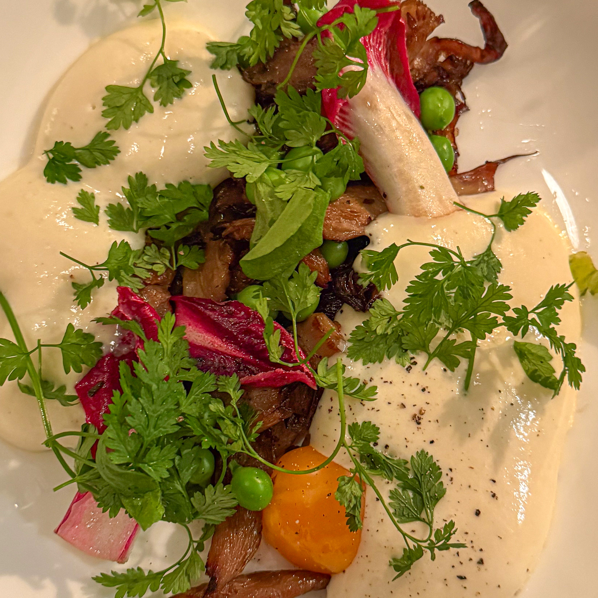 pleurotes-petits-pois-parmesan-patine-paris | PARIS BY MOUTH Oyster mushrooms with parmesan cream at Patine, 11th arrondissement, Paris